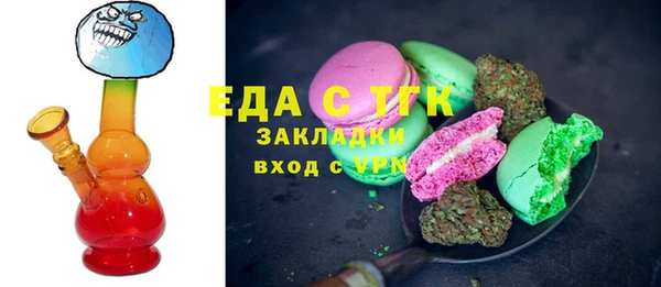 индика Галич