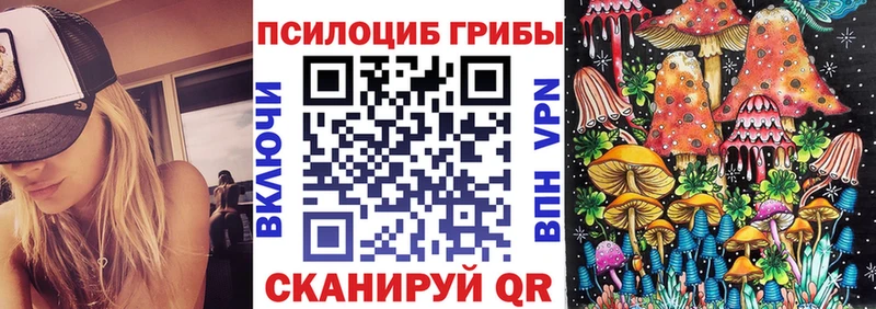 kraken онион  Ирбит  Псилоцибиновые грибы прущие грибы  купить  цена 